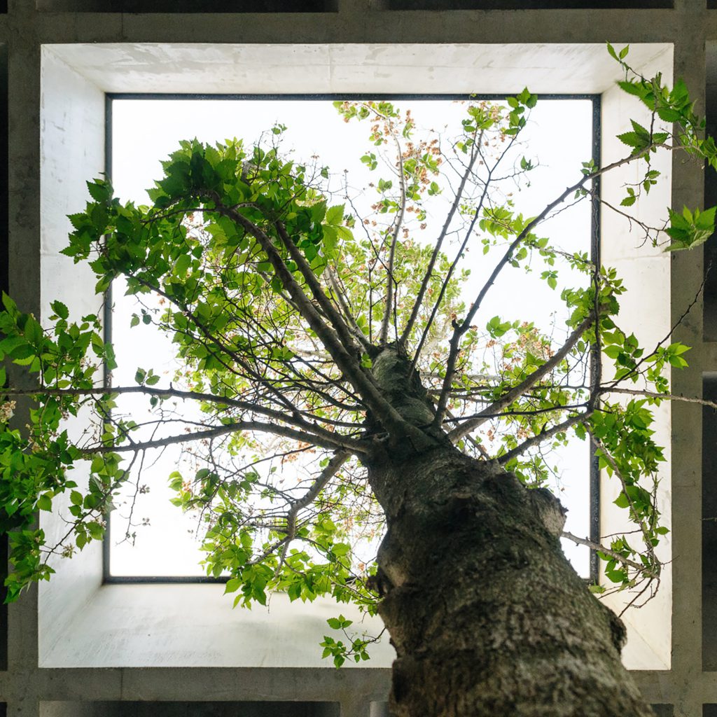 Laje Nervurada em Bruxelas - Structure and Gardens