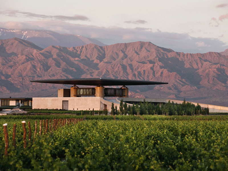 laje nervurada pelo mundo - bodega o.fournier